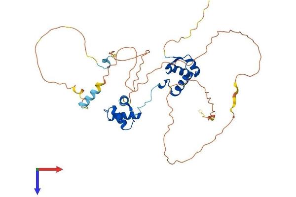 PAX5 Protein (AA 1-391) (His tag)
