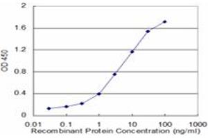 Detection limit for recombinant GST tagged HPD is approximately 0. (HPD antibody  (AA 160-269))