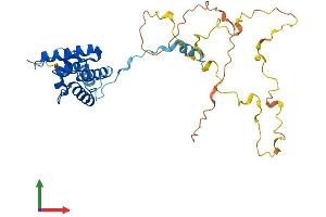 AlphaFold protein structure predicition of Human Recombinant CNN3 Protein, UniprotID Q15417