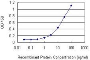 Detection limit for recombinant GST tagged GNLY is 0. (GNLY antibody  (AA 46-145))