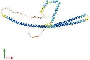 AlphaFold protein structure predicition of Human Recombinant TMEM191B Protein, UniprotID P0C7N4 (TMEM191B Protein (AA 1-346) (His tag))