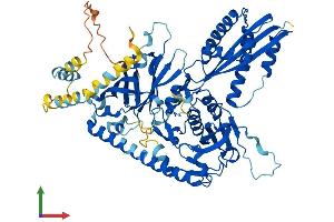 Protein Structure (PS) image for Centrosomal Protein 76kDa (Cep76) (AA 1-659) protein (His tag) (ABIN7556955)