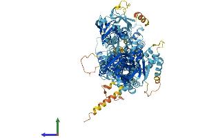 AlphaFold protein structure predicition of Human Recombinant ATP11A Protein, UniprotID P98196