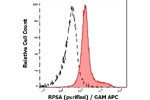 Separation of MOLT-4 cells stained using anti-RPSA (RP-01) purified antibody (concentration in sample 9 μg/mL, GAM APC, red-filled) from MOLT-4 unstained by primary antibody (GAM APC, black-dashed) in flow cytometry analysis (intracellular staining). (RPSA/Laminin Receptor antibody)
