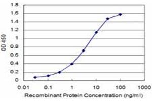 Detection limit for recombinant GST tagged IRF5 is approximately 0. (IRF5 antibody  (AA 395-504))