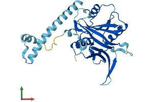 Protein Structure (PS) image for IMP4, U3 Small Nucleolar Ribonucleoprotein (IMP4) (AA 1-291) protein (His tag) (ABIN7548514)