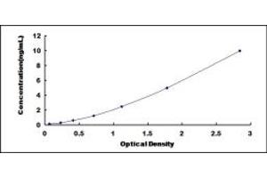 Dystroglycan ELISA Kit