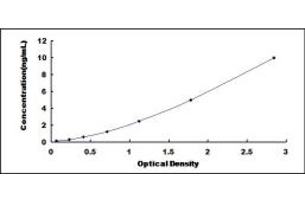 Dystroglycan ELISA Kit