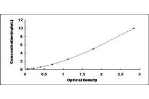 Typical standard curve (Dystroglycan ELISA Kit)
