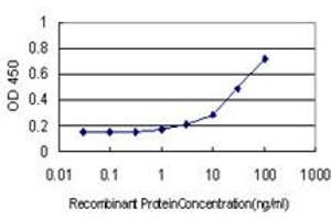 Detection limit for recombinant GST tagged WDR4 is approximately 1ng/ml as a capture antibody. (WDR4 antibody  (AA 1-266))