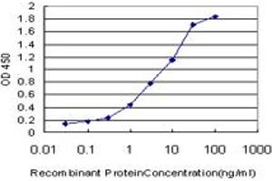 Detection limit for recombinant GST tagged CETN2 is approximately 0. (CETN2 antibody  (AA 85-172))