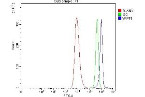 Flow Cytometry analysis of HEL cells using anti-WIPF1 antibody (ABIN7602942). (WIPF1 antibody  (C-Term))