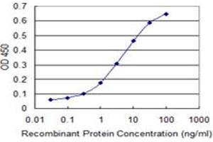 Detection limit for recombinant GST tagged MAG is 0. (MAG antibody  (AA 119-208))