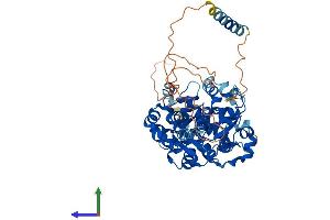Protein Structure (PS) image for Carbohydrate (N-Acetylgalactosamine 4-Sulfate 6-O) Sulfotransferase 15 (CHST15) (AA 1-561) protein (His tag) (ABIN7553435)