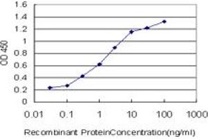Detection limit for recombinant GST tagged ULK2 is approximately 0. (ULK2 antibody  (AA 743-843))