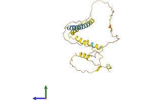 AlphaFold protein structure predicition of Human Recombinant SYNDIG1L Protein, UniprotID A6NDD5