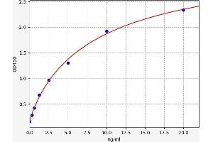 SORBS1 ELISA Kit