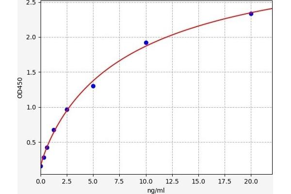 SORBS1 ELISA Kit