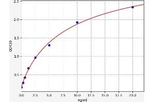 Typical standard curve (SORBS1 ELISA Kit)