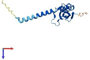 UBXN11 Protein (AA 1-146) (His tag)