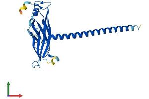 Protein Structure (PS) image for YEATS Domain Containing 4 (AA 1-227) protein (His tag) (ABIN7545214)