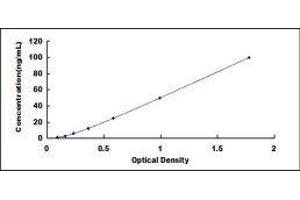 Complement Component 1, Q Subcomponent, A Chain (C1QA) ELISA Kit