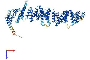 AlphaFold protein structure predicition of Mouse Recombinant Ttc34 Protein, UniprotID Q8C0Q3 (TTC34 Protein (AA 1-554) (His tag))
