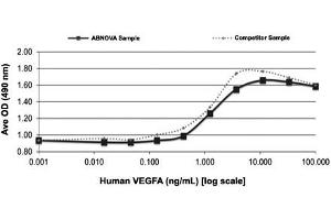 Serial dilutions of human VEGFA (starting at 100 ng/mL) were added to HUVEC cells cultured without EGF. (VEGFA Protein)