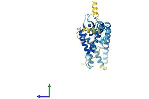 Protein Structure (PS) image for Peroxisomal Biogenesis Factor 2 (PEX2) (AA 1-305) protein (His tag) (ABIN7550708)