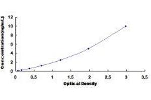 Cofilin 1 (CFL1) ELISA Kit