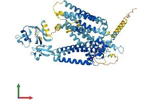 AlphaFold protein structure predicition of Mouse Recombinant Slc44a3 Protein, UniprotID Q921V7 (SLC44A3 Protein (AA 1-656) (His tag))