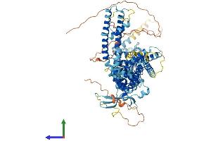 AlphaFold protein structure predicition of Mouse Recombinant Trpv3 Protein, UniprotID Q8K424 (TRPV3 Protein (AA 1-791) (His tag))