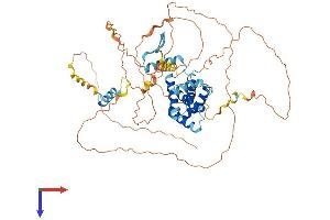 CABLES1 Protein (AA 1-568) (His tag)