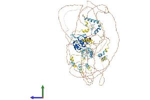 AlphaFold protein structure predicition of Mouse Recombinant Tshz2 Protein, UniprotID Q68FE9 (TSHZ2 Protein (AA 1-1030) (His tag))