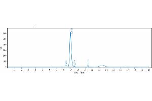 The purity of Anti-IGF1R / CD221 Reference Antibody (teprotumumab) is 96. (Recombinant IGF1R (Teprotumumab Biosimilar) antibody)