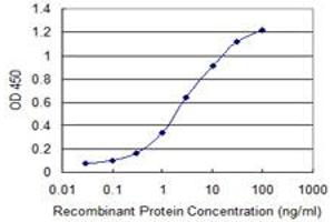Detection limit for recombinant GST tagged PSAT1 is 0. (PSAT1 antibody  (AA 262-370))