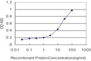 Detection limit for recombinant GST tagged CALR3 is approximately 1ng/ml as a capture antibody. (Calreticulin 3 antibody  (AA 21-384))