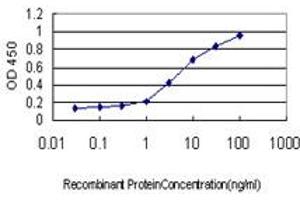 Detection limit for recombinant GST tagged SMAD5 is approximately 0. (SMAD5 antibody  (AA 105-182))