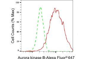 Flow cytometric analysis of Aurora kinase B expression in HAP-1 cells using Aurora kinase B antibody (ABIN7797704), 1:2,000).