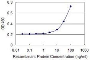 Detection limit for recombinant GST tagged CDC23 is 3 ng/ml as a capture antibody. (CDC23 antibody  (AA 491-591))