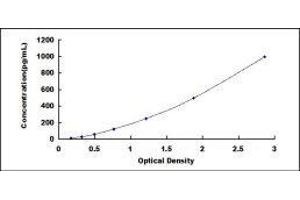 Glypican 4 (GPC4) ELISA Kit