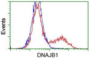 HEK293T cells transfected with either RC201762 overexpress plasmid (Red) or empty vector control plasmid (Blue) were immunostained by anti-DNAJB1 antibody (ABIN2454177), and then analyzed by flow cytometry. (DNAJB1 antibody)