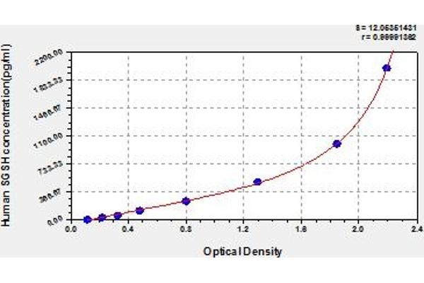 SGSH ELISA Kit