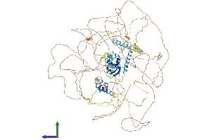 AlphaFold protein structure predicition of Mouse Recombinant Rbm20 Protein, UniprotID Q3UQS8 (RBM20 Protein (AA 1-1199) (His tag))