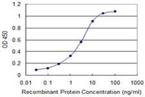 Detection limit for recombinant GST tagged FXN is 0. (Frataxin antibody  (AA 91-200))