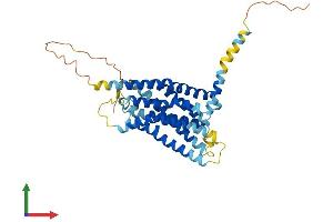 AlphaFold protein structure predicition of Mouse Recombinant Gper1 Protein, UniprotID Q8BMP4 (Mesothelin Protein (MSLN) (AA 1-375) (His tag))