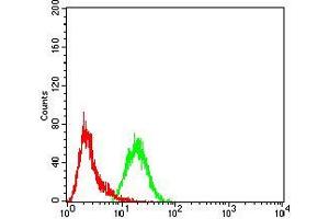 Flow cytometric analysis of A431 cells using CBX3 mouse mAb (green) and negative control (red). (CBX3 antibody  (AA 1-183))