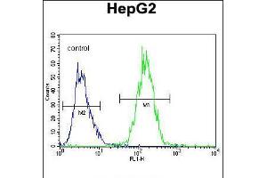 Flow cytometric analysis of HepG2 cells (right histogram) compared to a negative control cell (left histogram). (RDH13 antibody  (AA 166-194))