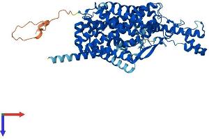AlphaFold protein structure predicition of Mouse Recombinant Slc6a20b Protein, UniprotID O88575 (Slc6a20b Protein (AA 1-635) (His tag))