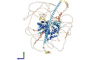 Protein Structure (PS) image for Synaptic Ras GTPase Activating Protein 1 (SYNGAP1) (AA 1-1340) protein (His tag) (ABIN7562142)
